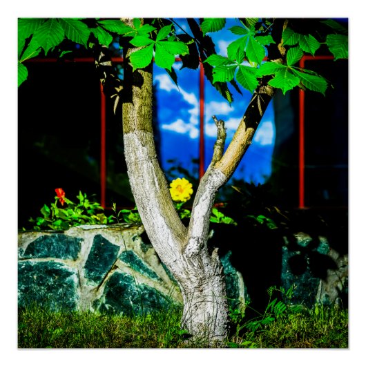 Kastanjeboom Perfect Poster (Voorkant)