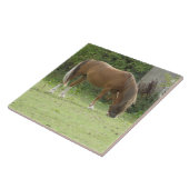 Kastanjebruin graastijgel tegeltje (Zijkant)