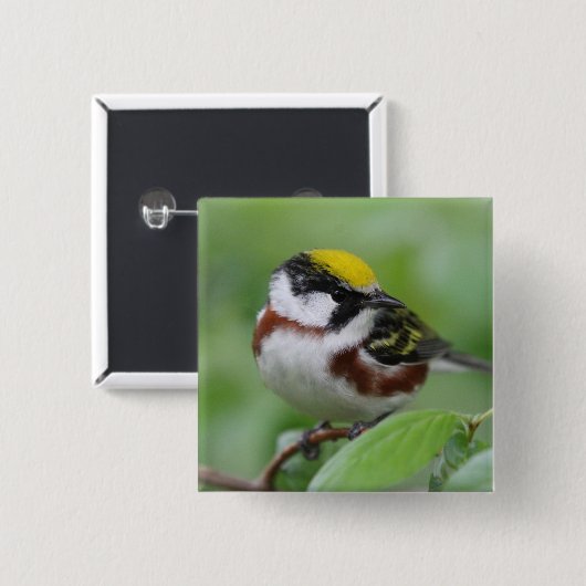 kastanjebruine Button (Voorkant /achterkant)