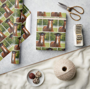 Kastanjebruine Paard Afgestudeerd Cadeaupapier