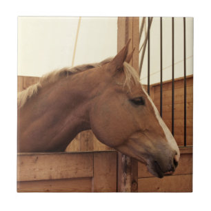 Kastanjebruine paard met bles in stal tegeltje