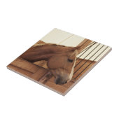 Kastanjebruine paard met bles in stal tegeltje (Zijkant)