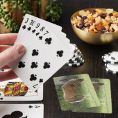 Kastanjebruine paardengraaskaarten speelkaarten (Insitu)