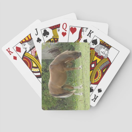 Kastanjebruine paardengraaskaarten speelkaarten (Achterkant)