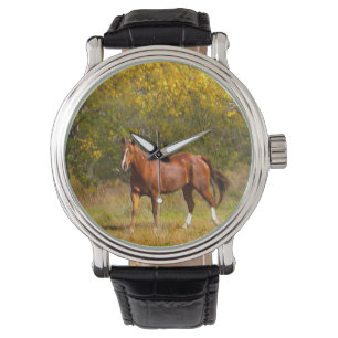 Kastanjepaard in de Herfst Horloge