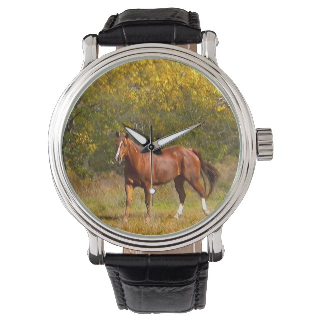 Kastanjepaard in de Herfst Horloge (Voorkant)