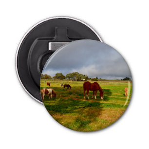 kastanjepaarden met Shetlands, Button Flesopener