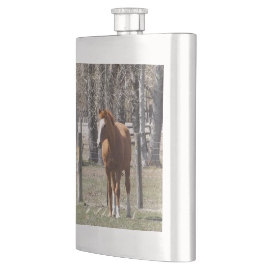 Kastanjepaardkolf Flacon (Links)