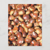 kastanjes-211079, zoete kastanjes delici flyer (Voorkant)