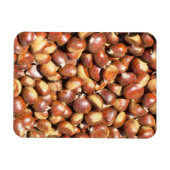 kastanjes-211079, zoete kastanjes delici magneet (Horizontaal)