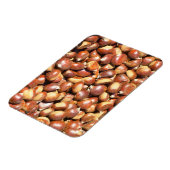 kastanjes-211079, zoete kastanjes delici magneet (Linkerzijde)