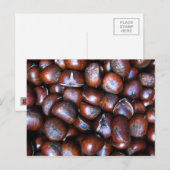 Kastanjes Briefkaart (Voorkant / Achterkant)