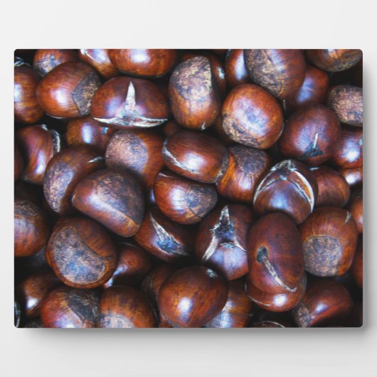 Kastanjes Fotoplaat (Voorkant)