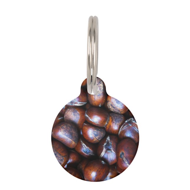 Kastanjes Huisdierpenning (Voorkant)