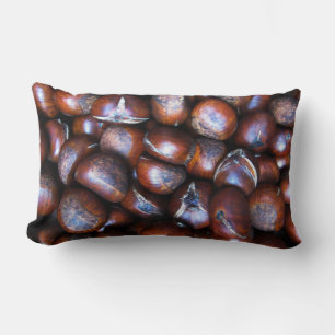 Kastanjes Kussen