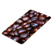 Kastanjes Magneet (Linkerzijde)