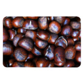Kastanjes Magneet (Horizontaal)