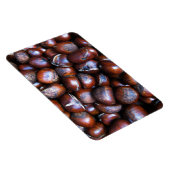 Kastanjes Magneet (Rechterzijde)