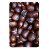 Kastanjes Magneet (Verticaal)