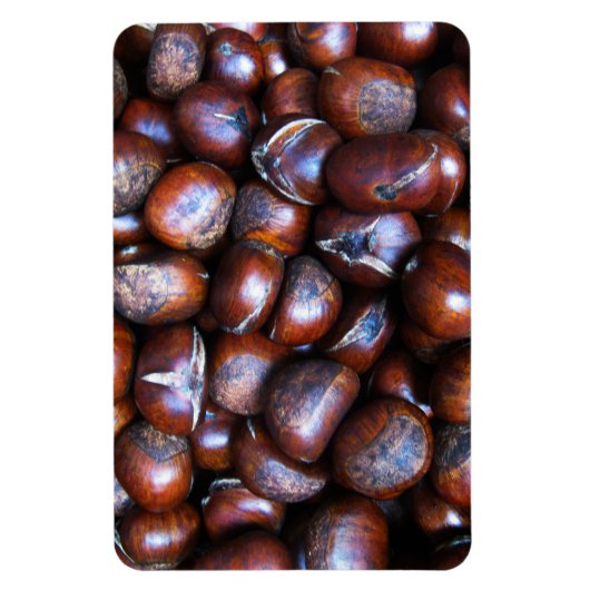 Kastanjes Magneet (Verticaal)