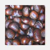 Kastanjes Magneet (Voorkant)