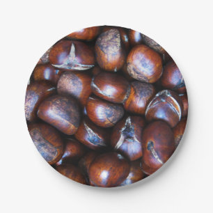 Kastanjes Papieren Bordje