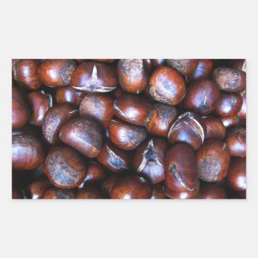 Kastanjes Rechthoekige Sticker (Voorkant)