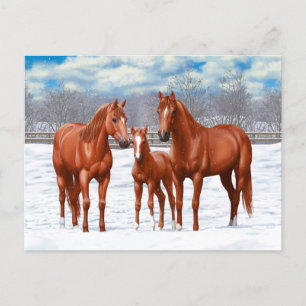 Kastanjesorrel kwart paard in sneeuw briefkaart