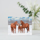 Kastanjesorrel kwart paard in sneeuw briefkaart (Staand voorkant)