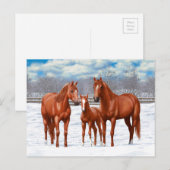 Kastanjesorrel kwart paard in sneeuw briefkaart (Voorkant / Achterkant)