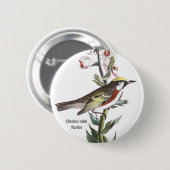 kastanjewieg, Audubon, Birder Accessory; Ronde Button 5,7 Cm (Voorkant /achterkant)