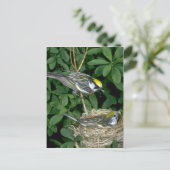 Kastanjewieken op nest briefkaart (Staand voorkant)