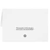 Kastboom Purple Flowers (Achterkant Horizontaal)