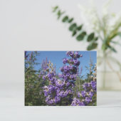 Kastboom Purple Flowers Briefkaart (Staand voorkant)