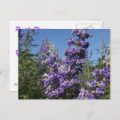 Kastboom Purple Flowers Briefkaart (Voorkant / Achterkant)