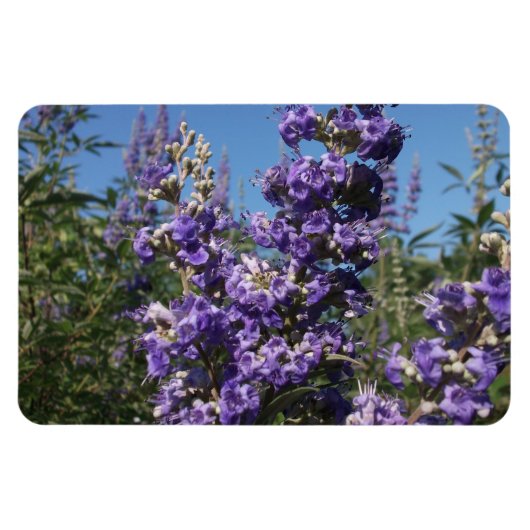 Kastboom Purple Flowers Magneet (Horizontaal)