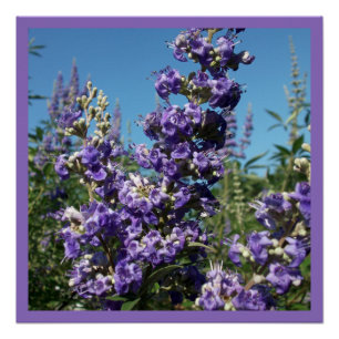Kastboom Purple Flowers Perfect Poster