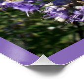 Kastboom Purple Flowers Perfect Poster (Hoek)