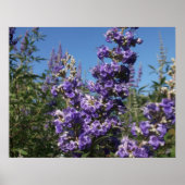 Kastboom Purple Flowers Poster (Voorkant)