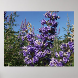 Kastboom Purple Flowers Poster