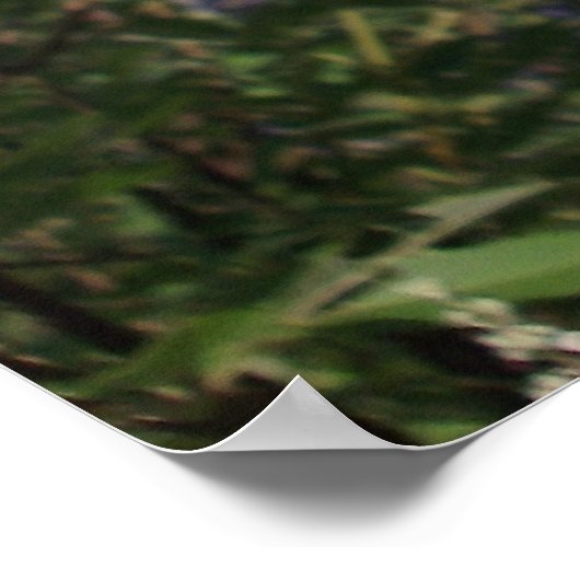 Kastboom Purple Flowers Poster (Hoek)