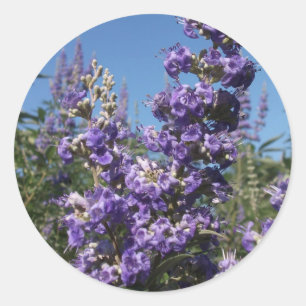 Kastboom Purple Flowers Ronde Sticker