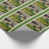 Kasteel Blarney uit het verleden Cadeaupapier (Hoek)