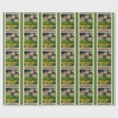 Kasteel Blarney uit het verleden Cadeaupapier (Vlak)