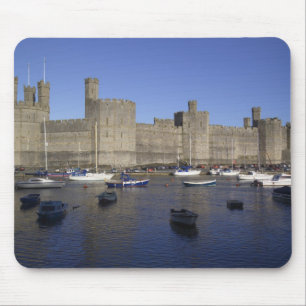 Kasteel Caernarfon, Gwynedd, Wales (RF) Muismat