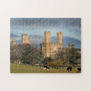 Kasteel Caernarfon in Wales Legpuzzel