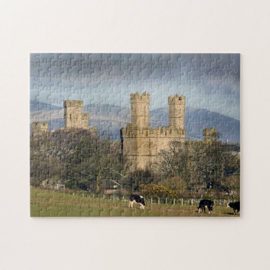 Kasteel Caernarfon in Wales Legpuzzel (Horizontaal)