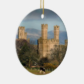 Kasteel Caernarfon Wales. Keramisch Ornament (Rechts)