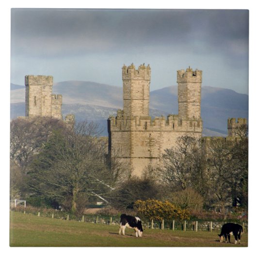 Kasteel Caernarfon Wales. Tegeltje (Voorkant)