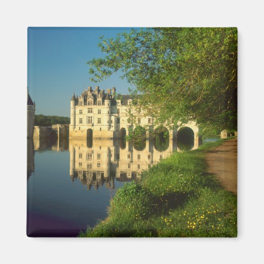 Kasteel Chenonceau, Loire Vallei, Magneet (Voorkant)
